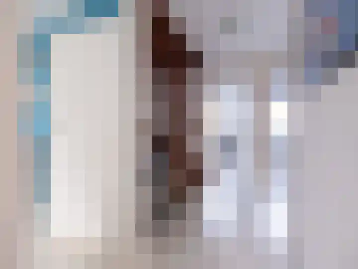 Bosschawei 5 Boornbergum thumbnail 26