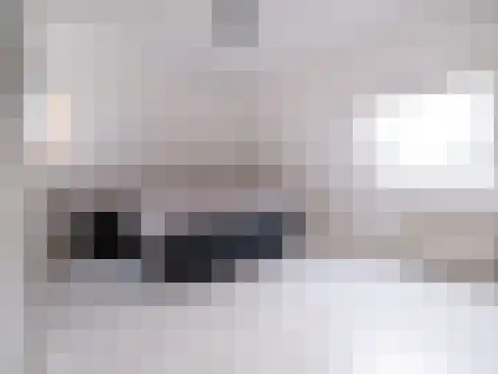 Bosschawei 5 Boornbergum thumbnail 27