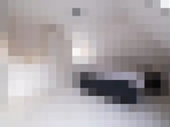 Bosschawei 5 Boornbergum thumbnail 28