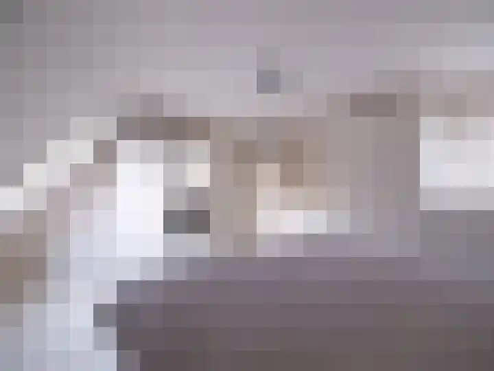 Bosschawei 5 Boornbergum thumbnail 29