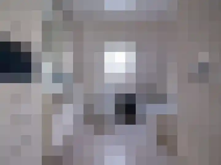 Bosschawei 5 Boornbergum thumbnail 30