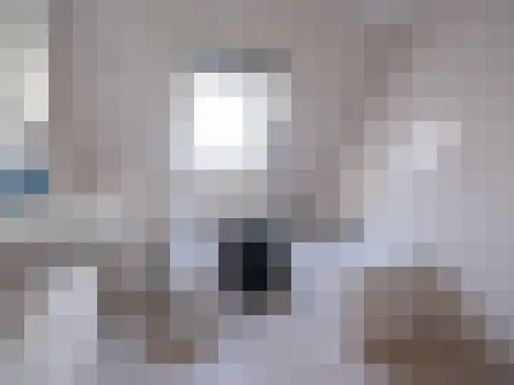 Bosschawei 5 Boornbergum thumbnail 31