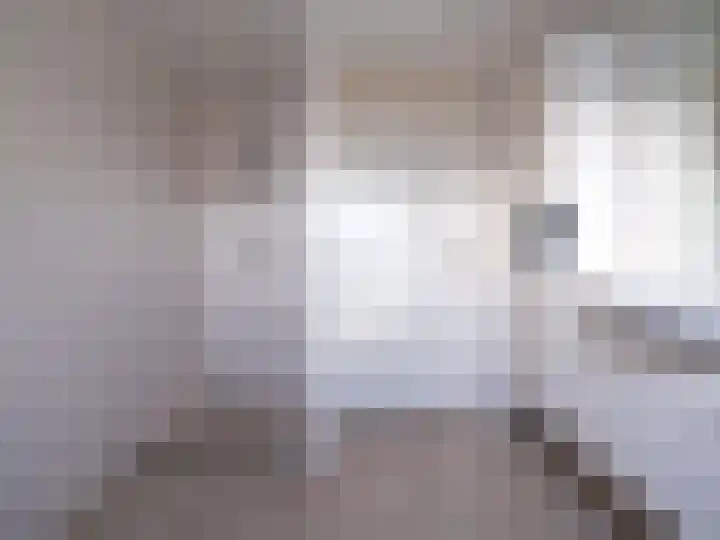 Bosschawei 5 Boornbergum thumbnail 32