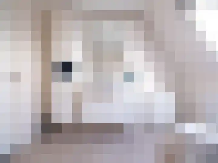 Bosschawei 5 Boornbergum thumbnail 33