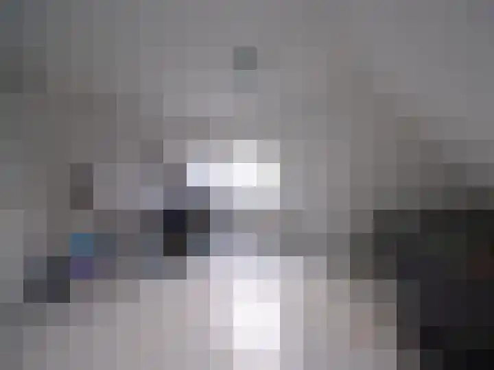 Bosschawei 5 Boornbergum thumbnail 34
