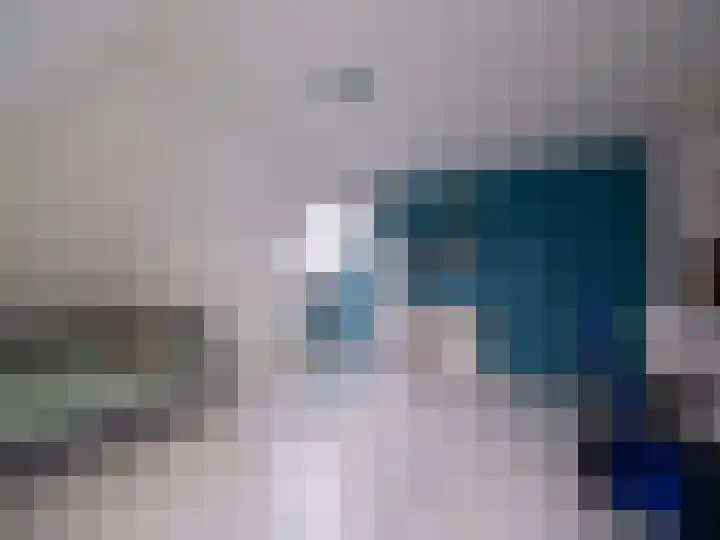 Bosschawei 5 Boornbergum thumbnail 35