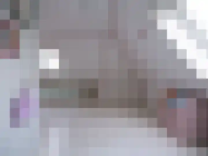 Bosschawei 5 Boornbergum thumbnail 38