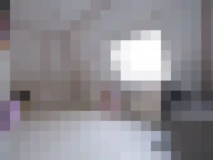 Bosschawei 5 Boornbergum thumbnail 39