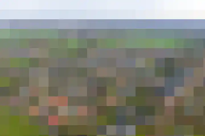 Bosschawei 5 Boornbergum thumbnail 4