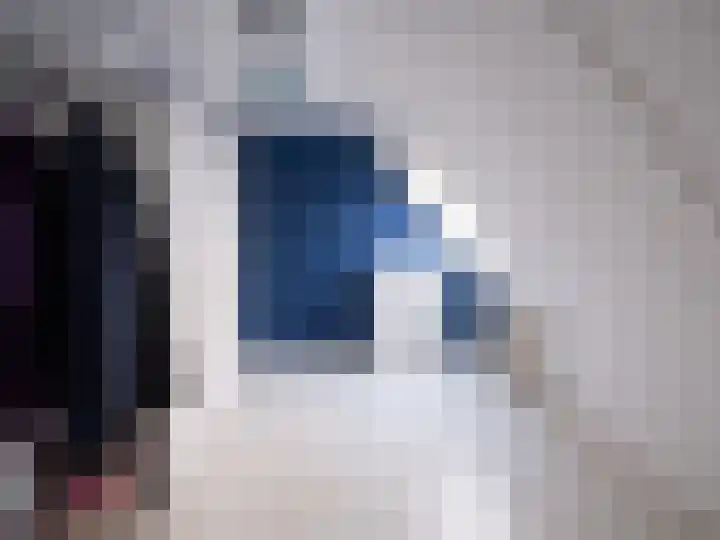 Bosschawei 5 Boornbergum thumbnail 40