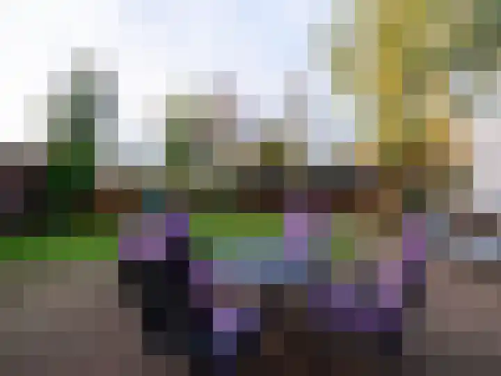 Bosschawei 5 Boornbergum thumbnail 41