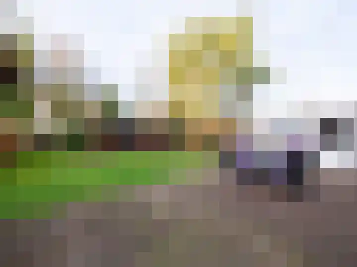 Bosschawei 5 Boornbergum thumbnail 42