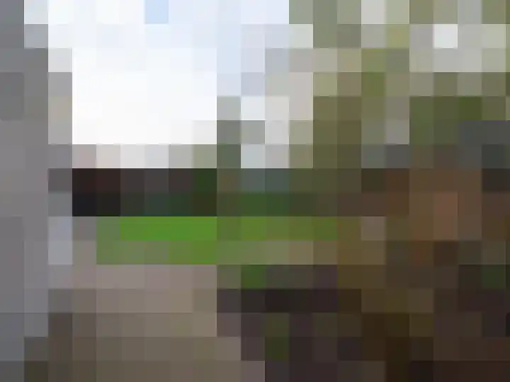 Bosschawei 5 Boornbergum thumbnail 43