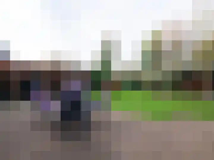 Bosschawei 5 Boornbergum thumbnail 44