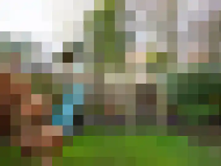 Bosschawei 5 Boornbergum thumbnail 45