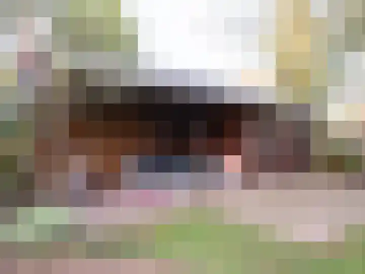 Bosschawei 5 Boornbergum thumbnail 46