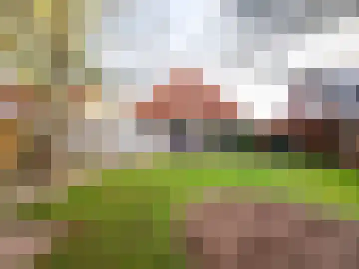 Bosschawei 5 Boornbergum thumbnail 48