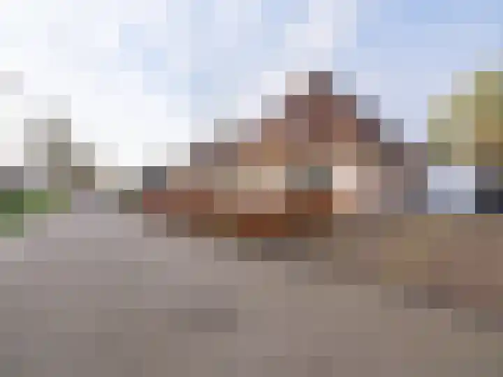 Bosschawei 5 Boornbergum thumbnail 50