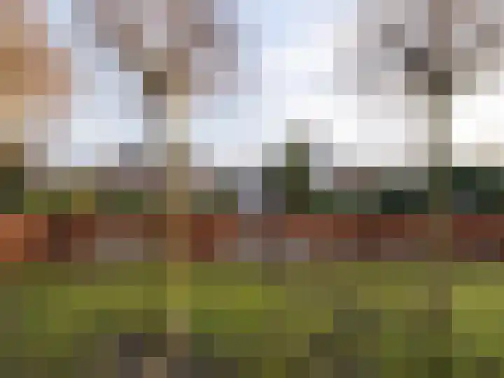 Bosschawei 5 Boornbergum thumbnail 51