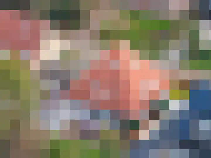 Bosschawei 5 Boornbergum thumbnail 52