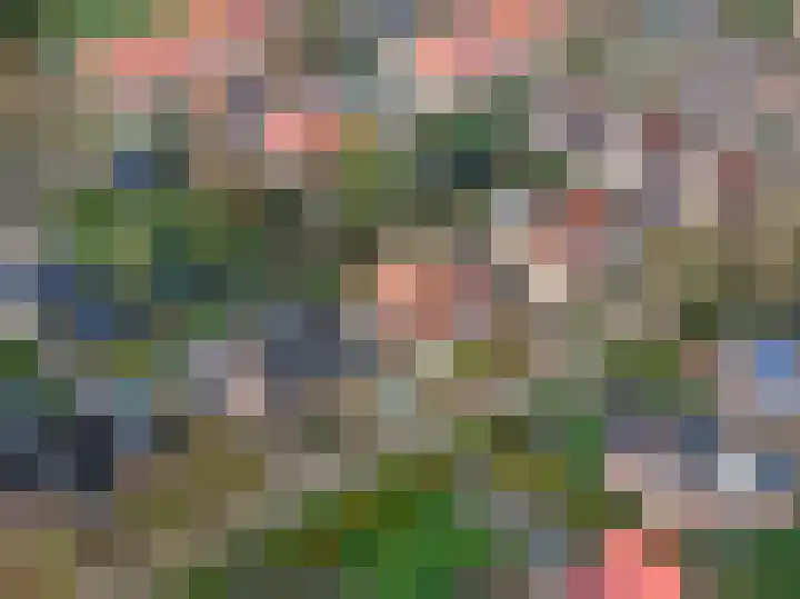 Bosschawei 5 Boornbergum thumbnail 53
