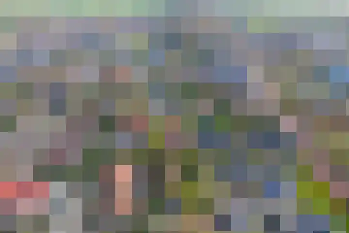Bosschawei 5 Boornbergum thumbnail 54