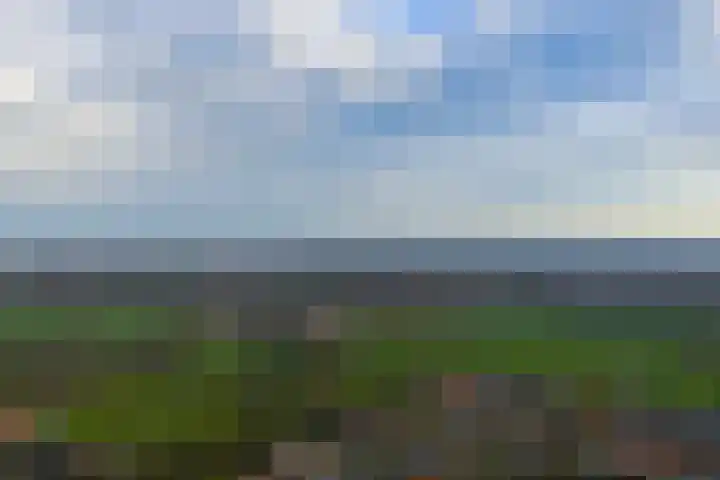 Bosschawei 5 Boornbergum thumbnail 55