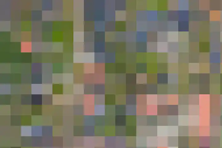 Bosschawei 5 Boornbergum thumbnail 56