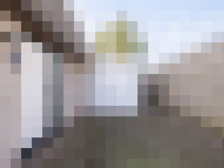 Bosschawei 5 Boornbergum thumbnail 7