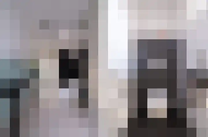 Bosschawei 5 Boornbergum thumbnail 8
