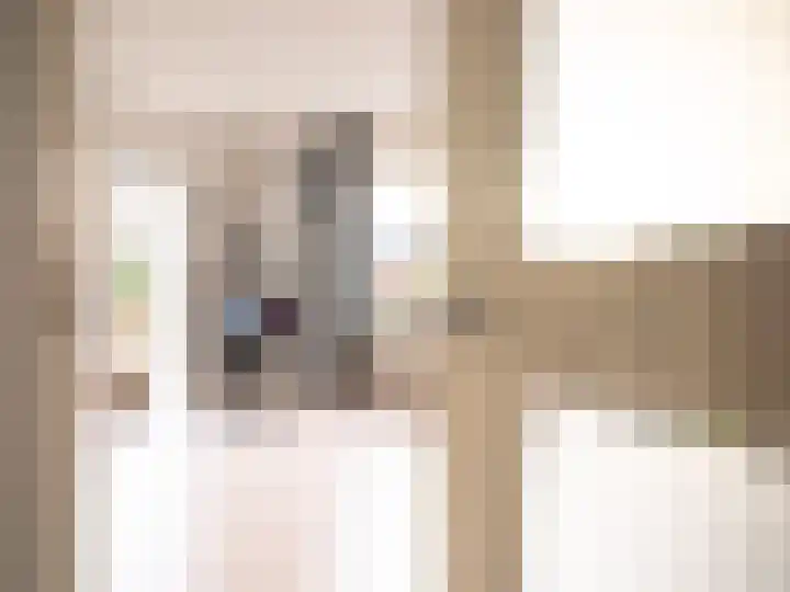 Bosschawei 5 Boornbergum thumbnail 9