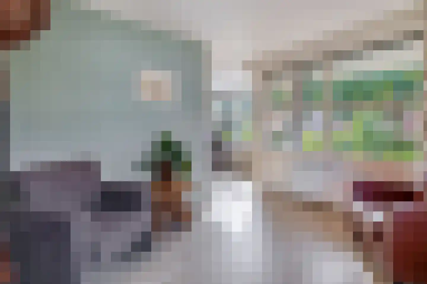 Bosschawei 50 Boornbergum thumbnail 11