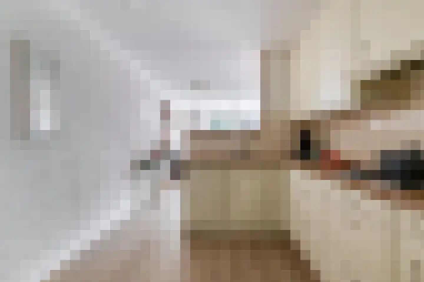 Bosschawei 50 Boornbergum thumbnail 13