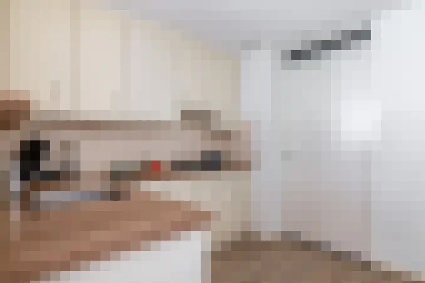 Bosschawei 50 Boornbergum thumbnail 15