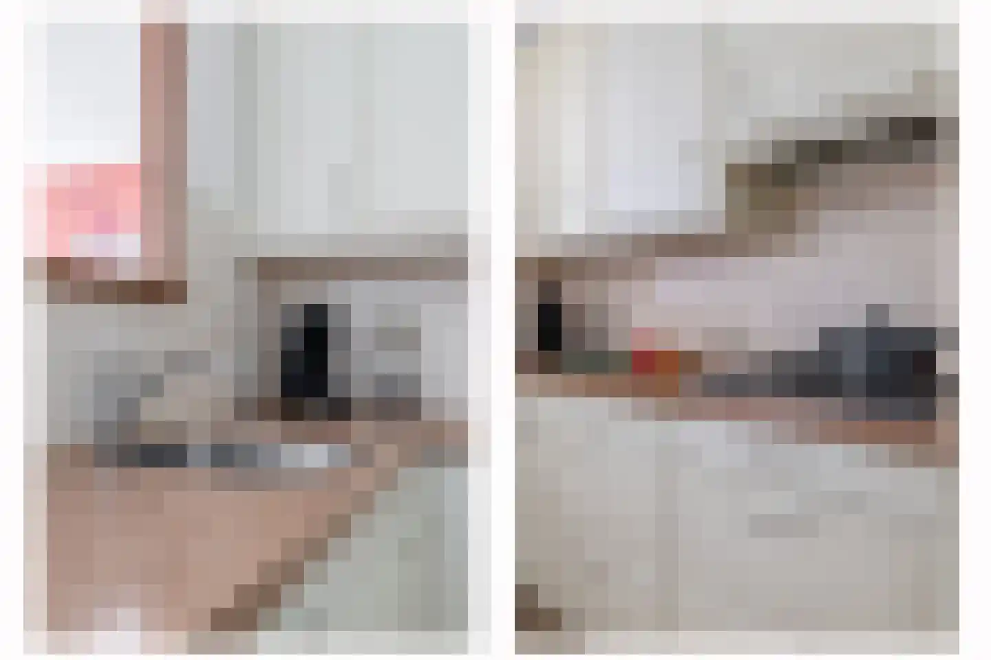 Bosschawei 50 Boornbergum thumbnail 16