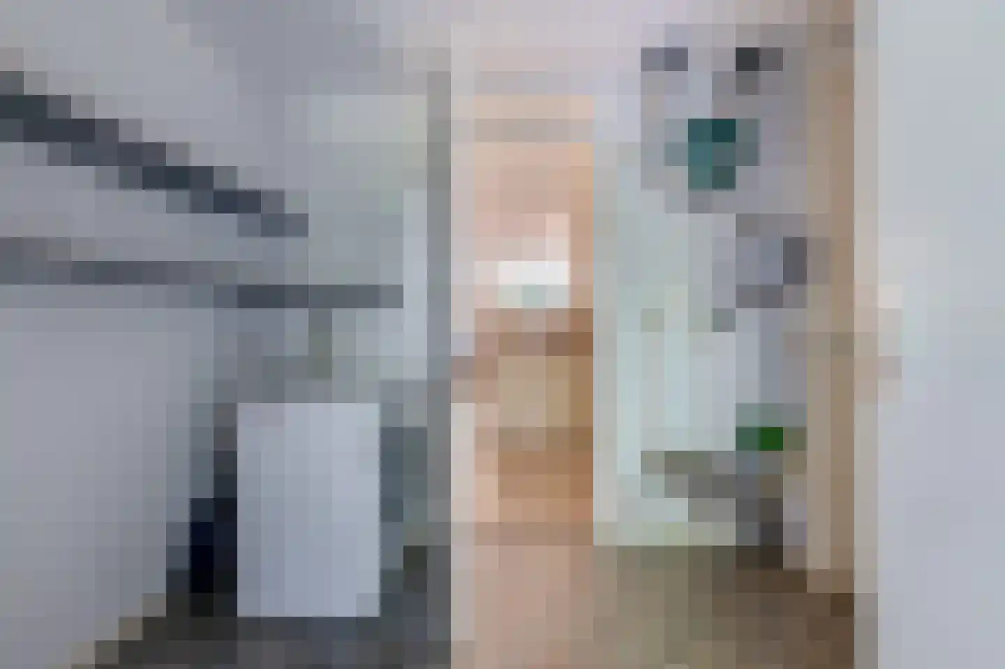 Bosschawei 50 Boornbergum thumbnail 24