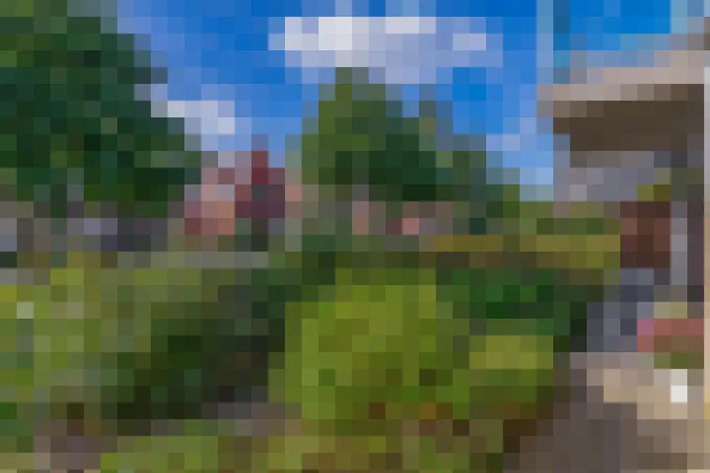 Bosschawei 50 Boornbergum thumbnail 25