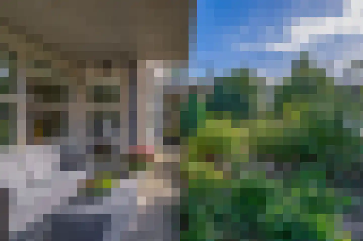Bosschawei 50 Boornbergum thumbnail 26