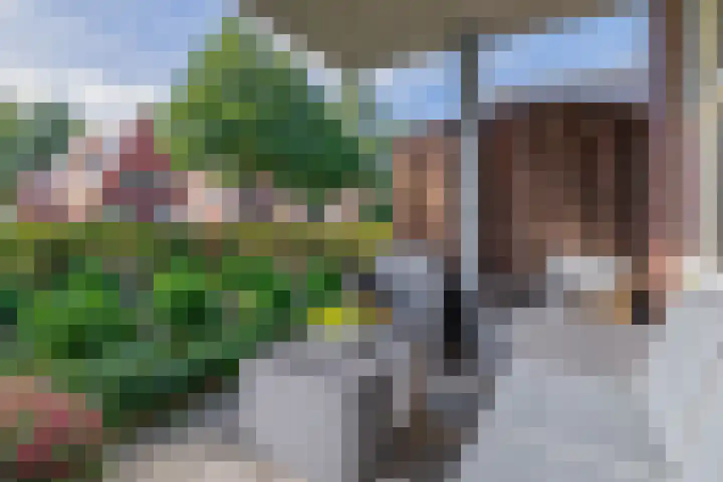 Bosschawei 50 Boornbergum thumbnail 27