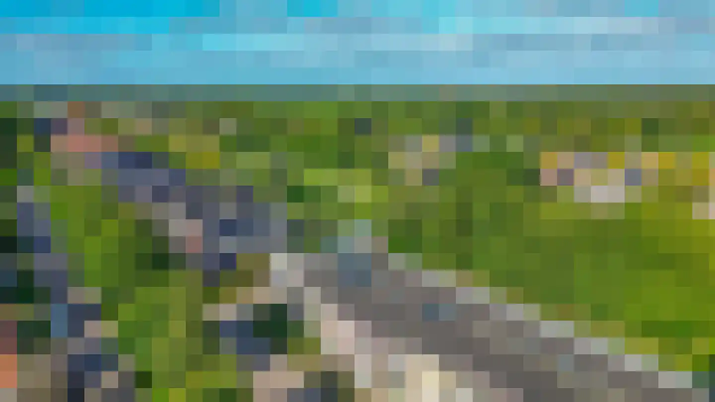 Bosschawei 50 Boornbergum thumbnail 29