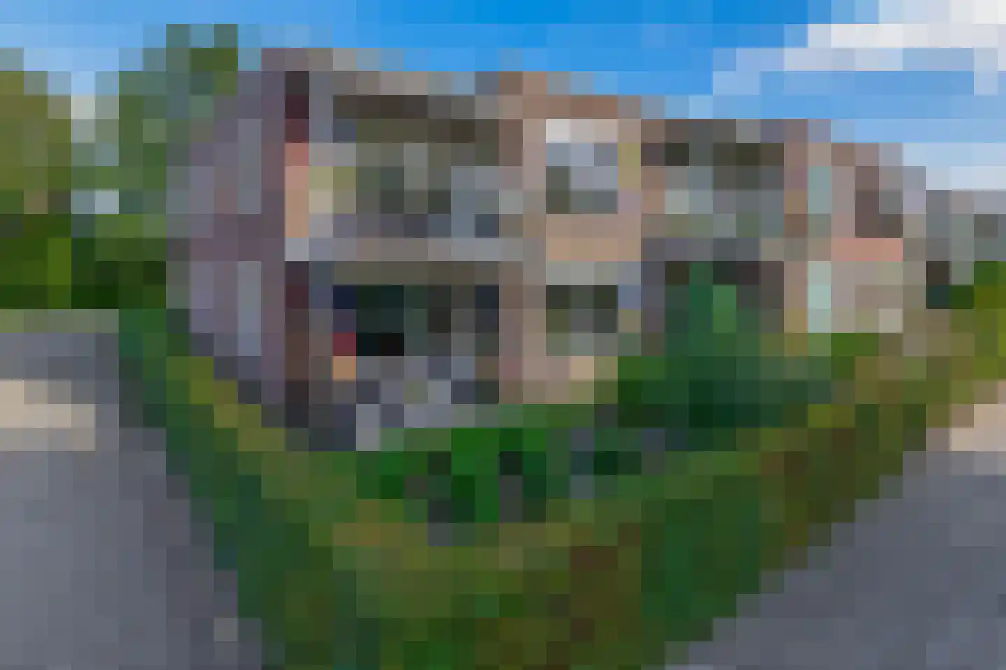 Bosschawei 50 Boornbergum thumbnail 30