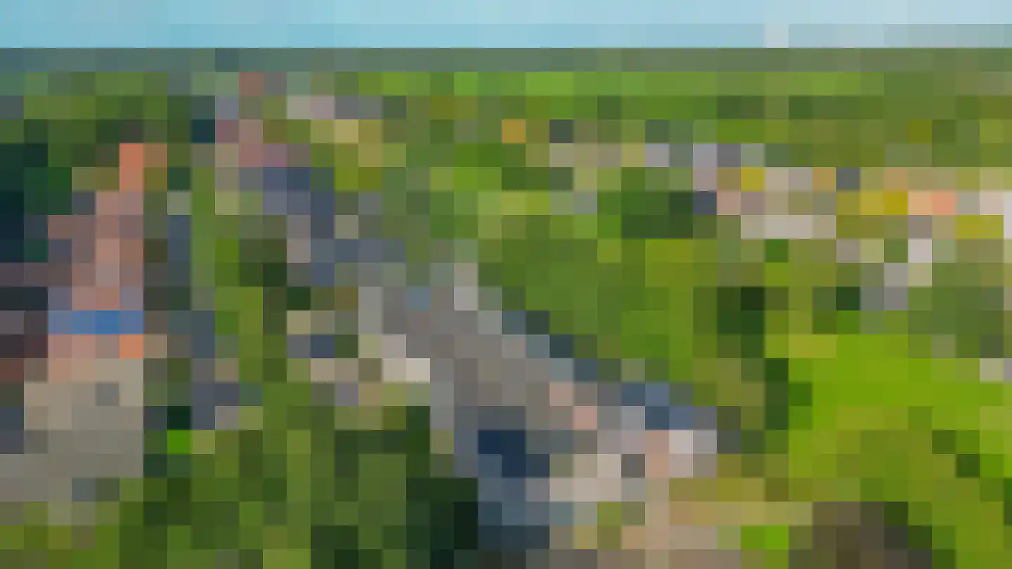 Bosschawei 50 Boornbergum thumbnail 38