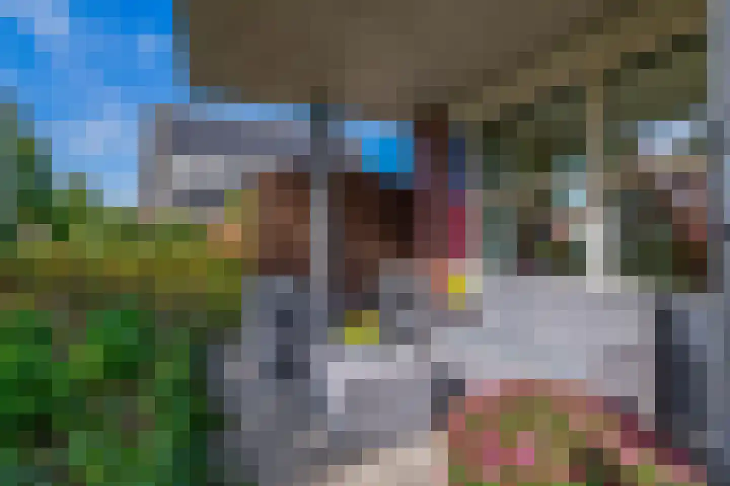 Bosschawei 50 Boornbergum thumbnail 4