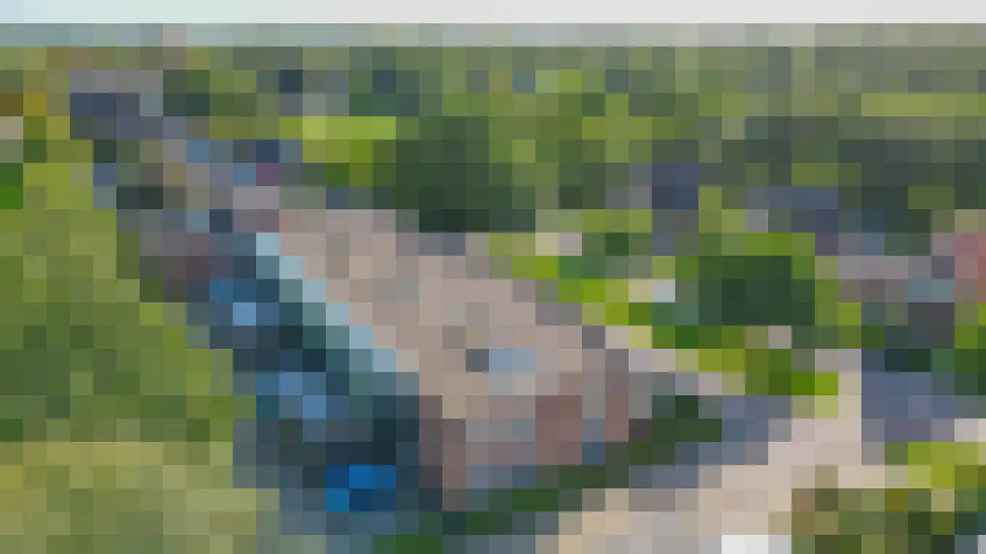 Bosschawei 50 Boornbergum thumbnail 40