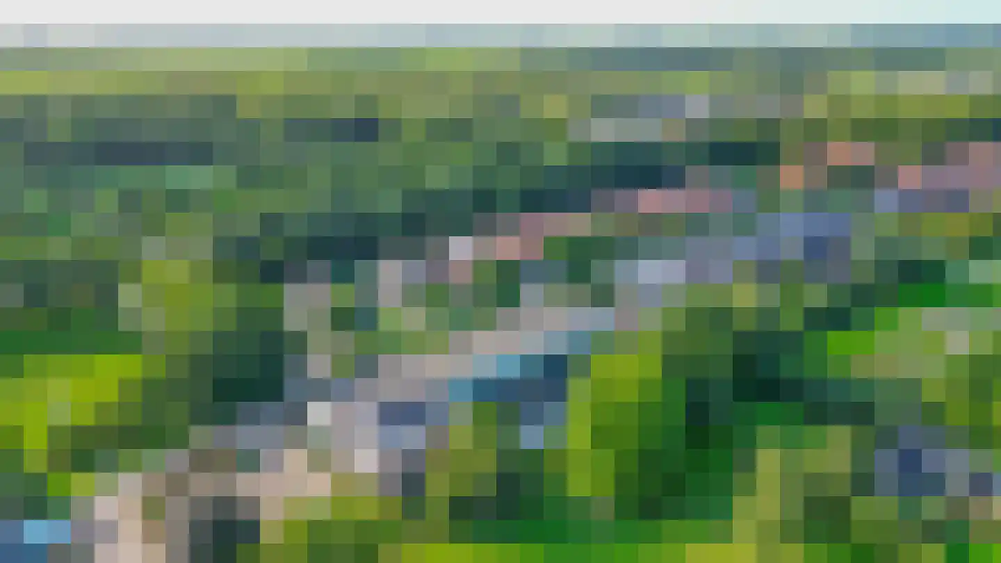 Bosschawei 50 Boornbergum thumbnail 41
