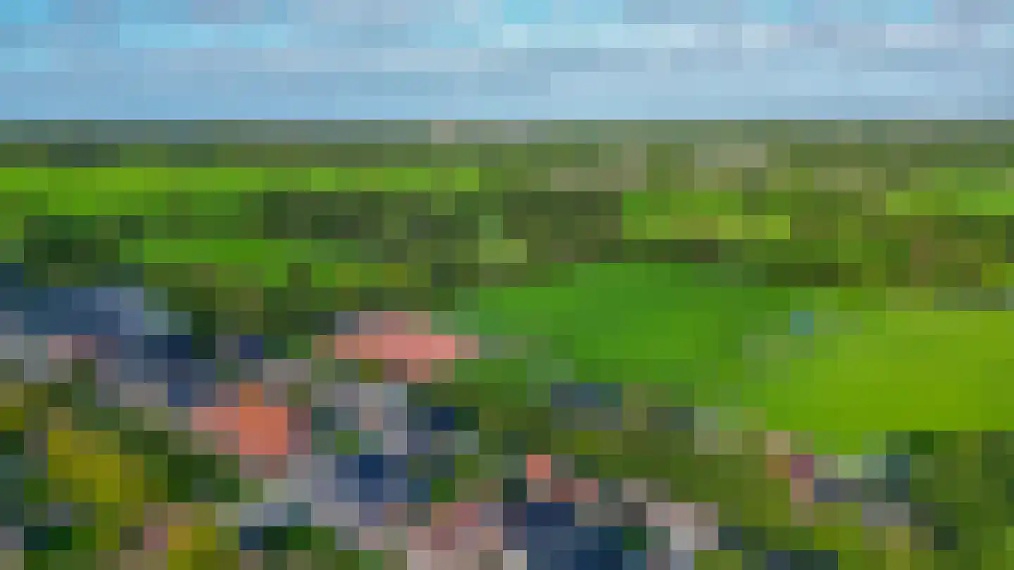Bosschawei 50 Boornbergum thumbnail 42