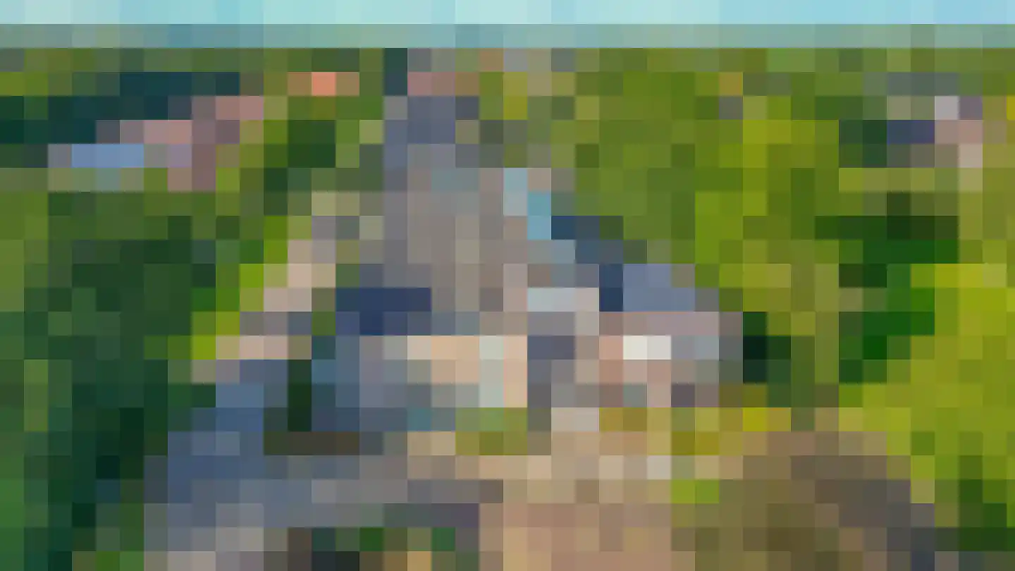 Bosschawei 50 Boornbergum thumbnail 43