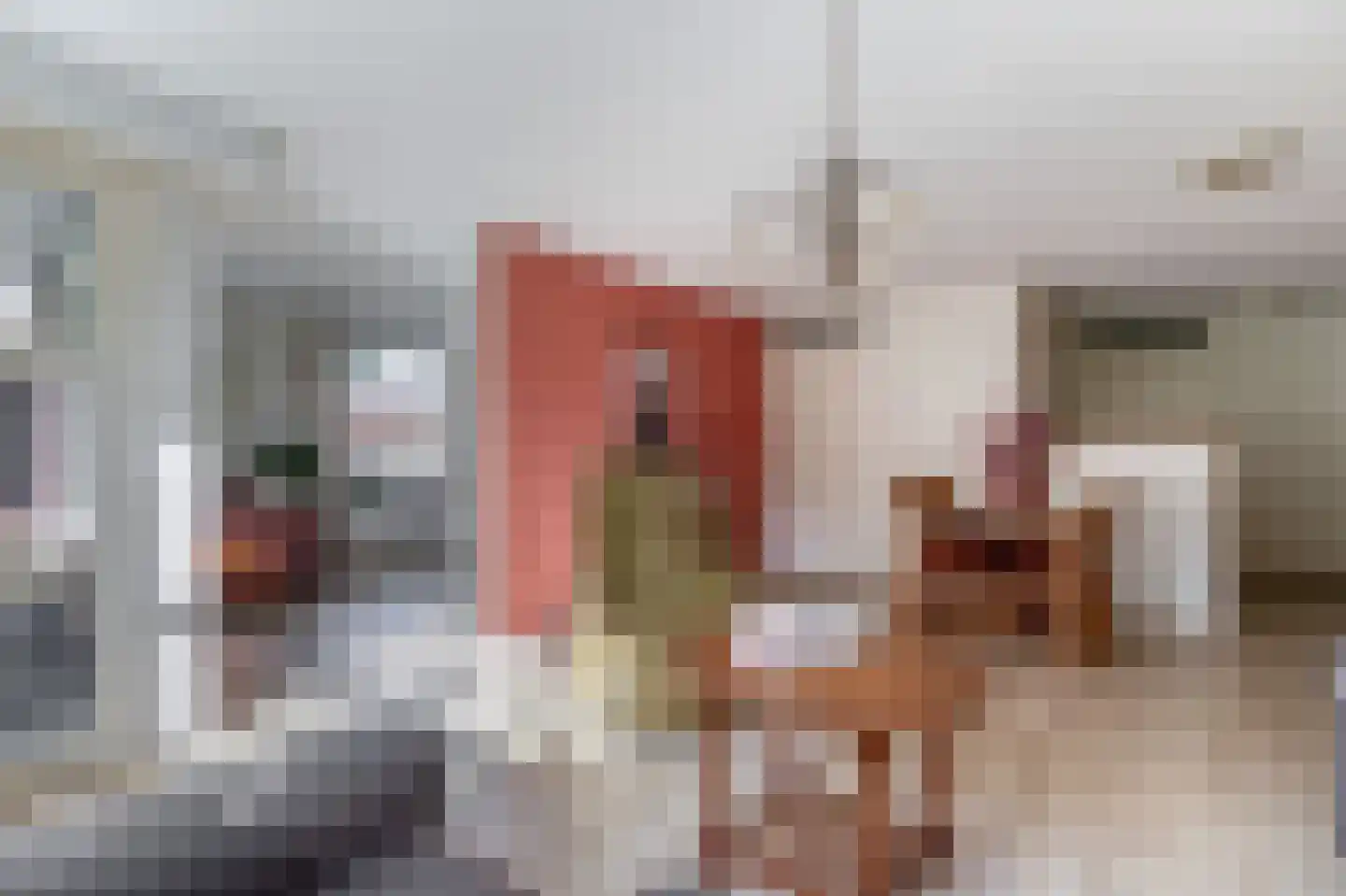 Bosschawei 50 Boornbergum thumbnail 9