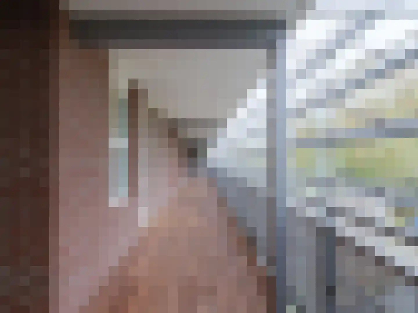 Bosschawei 66 Boornbergum thumbnail 10