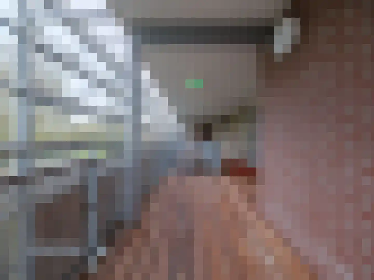 Bosschawei 66 Boornbergum thumbnail 11